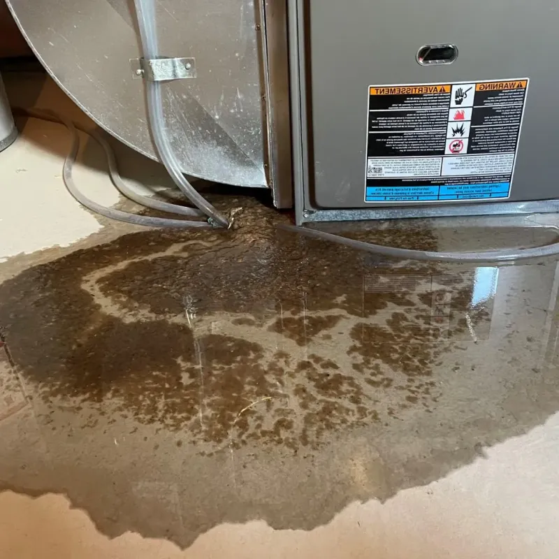 Pipe Burst and Leak Restoration in Englewood, OH