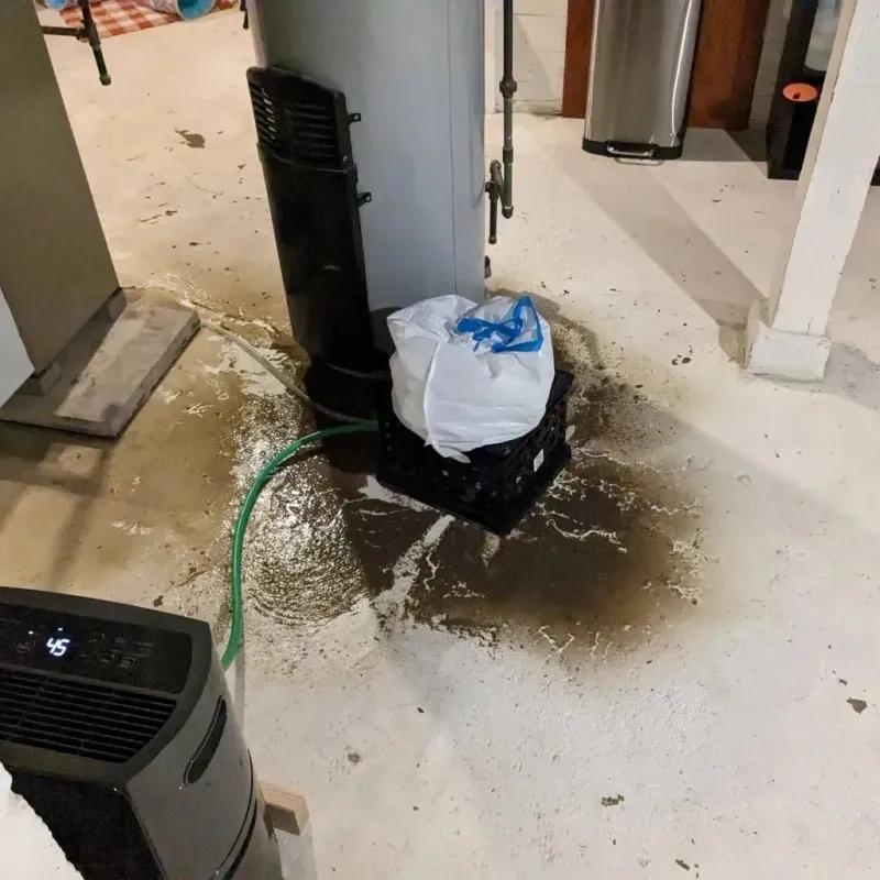 Sewage Backup Cleanup Service in Englewood, OH